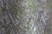 Rumwell fibreglass roof work